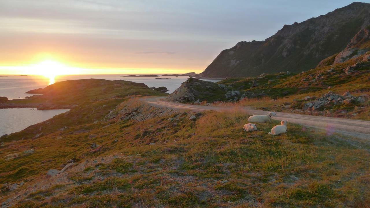 Lovely 3 Rooms Apartment For Holiday In Nyksund Exteriör bild